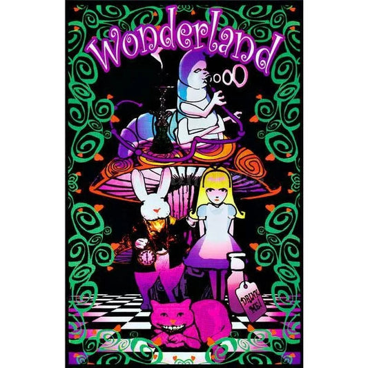 Alice in wonderland || 55x85cm