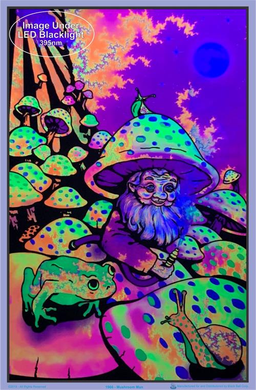 Mushroom Man || 55x85cm